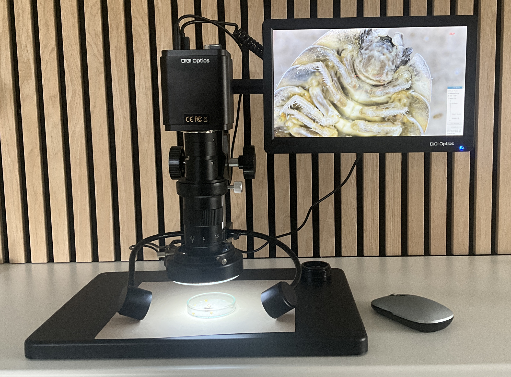 DIGI Apex B360 AF/EDF Mikroskop m/Prostander