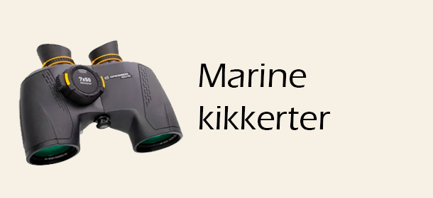 Marine kikkerter