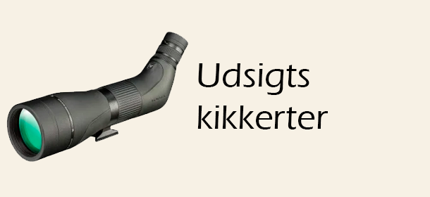 Udsigtskikkerter