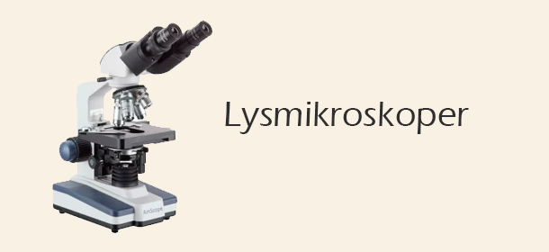 Lysmikroskoper