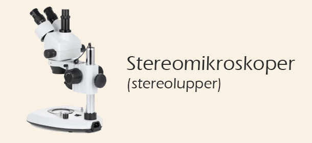 Stereomikroskoper