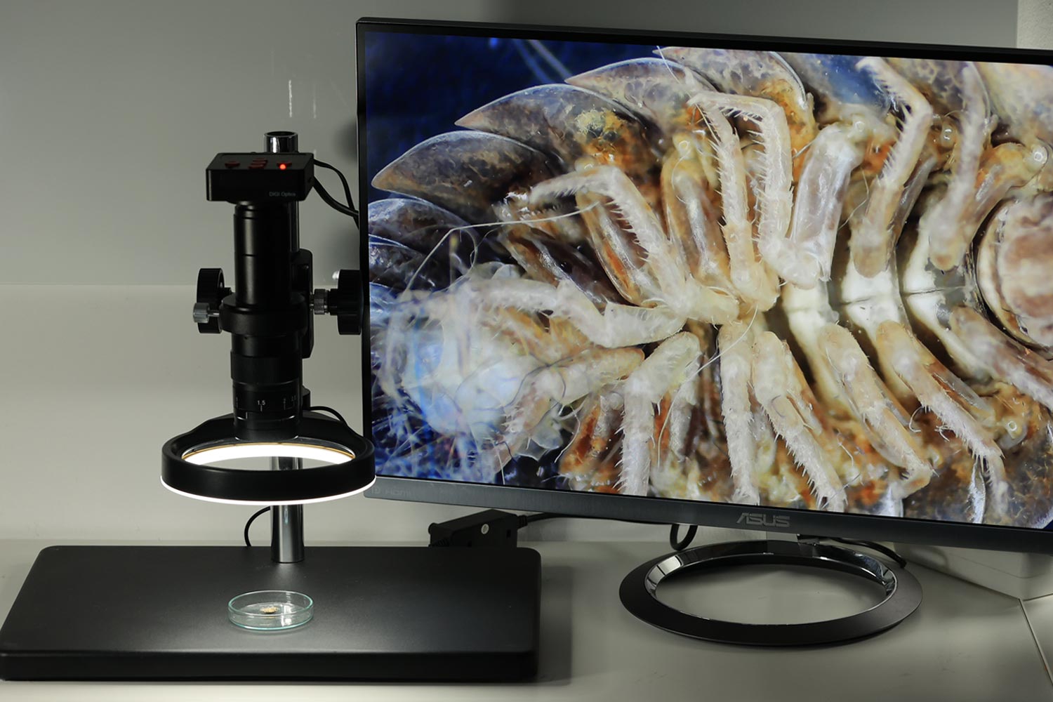 DIGI Large 48 LED Lysring (120mm), DIGI 38 MP kamera, DIGI Pro Stander, DIGI 10-180x linse.   