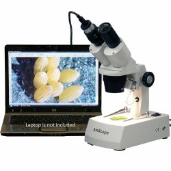 AmScope SE305R-AZ-LED-E digitalt binokul�rt stereomikroskop, 1 MP kamera, LED (10x-60x)
