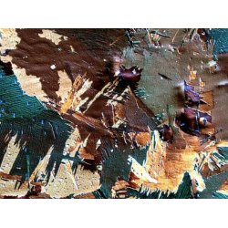 AmScope PZ620 Trinokul�rt Polariserende Mikroskop (50X�1000X)