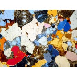 AmScope PZ620 Trinokul�rt Polariserende Mikroskop (50X�1000X)