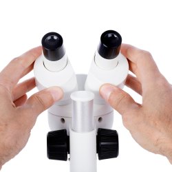 IQCREW By AmScope SE122 Stereolup - 30x forst�rrelse (klasses�t) (10 stk.)