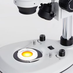 AmScope SMDG Trinokul�r Stereolup (7X-45X)