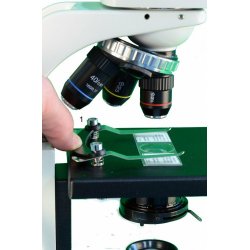 BMS 146 FLAsQ Bino (40-400x)