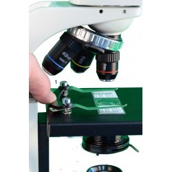 BMS 146 FLAsQ Trino (40-400x)