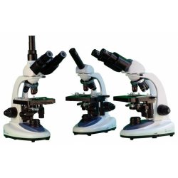 BMS 146 FLAsQ Trino (40-400x)