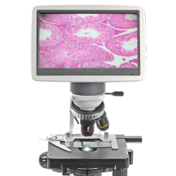 BMS 146 FLArQ LED Cellpad Mini (40-400x)