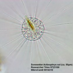 Bresser Researcher Trinocular (40-1000x)