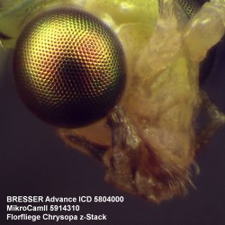 Bresser Advance ICD Stereolup (10x-160x)