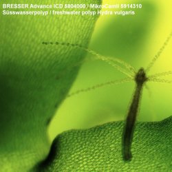 Bresser Advance ICD Stereolup (10x-160x)