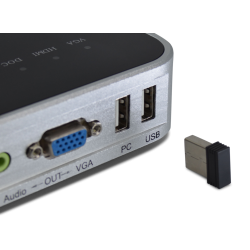 BMS Doc-Cam Science 12, Windows