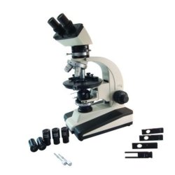 BMS E1-223 POL Semi Plan (40-400x)