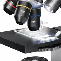 National Geographic mikroskop m/smartphone adapter (40-1280x)