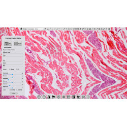 DIGI Nova N450 Alt-i-t Mikroskop