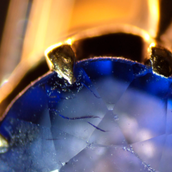 AmScope GM400 � Trinokul�rt Gemmologi- og smykkemikroskop (7x�45x)