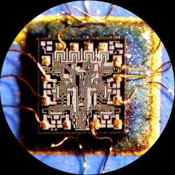 AmScope SE400-LED binokul�rt stereomikroskop LED, bomstativ (10x)