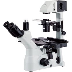 AmScope IN480 Series Inverteret Trinokul�rt Fasekontrastmikroskop (40X&ndash;600X)