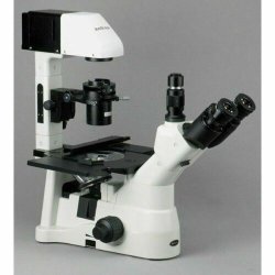 AmScope IN480-serien inverteret trinokul�rt lysmikroskop 