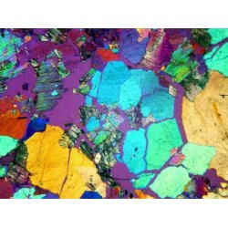 AmScope PZ620 Trinokul�rt Polariserende Mikroskop (50X�1000X)