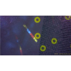 DigiMag Pro Inspector