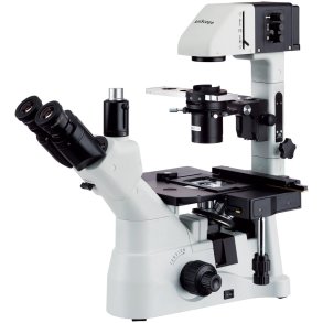 AmScope IN480 Series Inverteret Trinokul�rt Fasekontrastmikroskop (40X&ndash;600X)