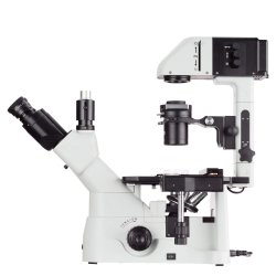 AmScope IN480 Series Inverteret Trinokul�rt Fasekontrastmikroskop (40X&ndash;600X)
