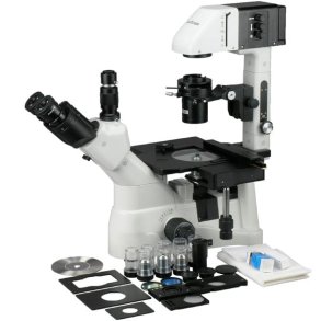 AmScope IN480-serien inverteret trinokul�rt lysmikroskop 