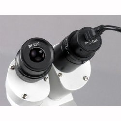 AmScope MD 5.0MP USB 2.0 Digitalt okular-kamera til mikroskop