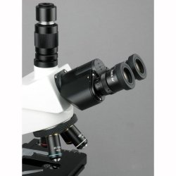AmScope T580 Simul-fokal trinokul�rt mikroskop (40X�2000X) 14MP USB 3.0 kamera