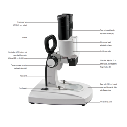 BMS Stereolup S-10-2L LED (20x)