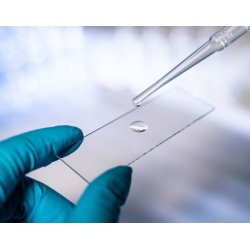 AmScope 72 pr�-rensede blanke objektglas til mikroskop med slebne kanter