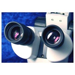 AmScope SM-6TPZ-64S-5M trinokul�rt stereomikroskop, LED-belysning, 5 MP kamera og artikuleret arm med bordklemme (3,5x-90x)