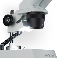 AmScope SE306R-P-LED binokul�rt stereomikroskop med LED-belysning p� bordstander